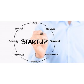 Startup consulting